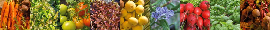 Hyv�n El�m�n Ruokakauppa